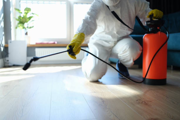 Reliable Infectious Disease Decontamination contractor in Pescadero, CA by Trauma Clean Pros